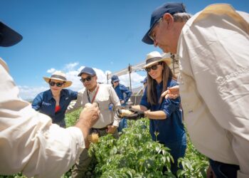 PepsiCo une a productores, tecnología e innovación para fortalecer el futuro de la agricultura en América Latina