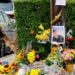 ICE suspende retenes vehiculares en EU tras dos muertes en Texas y Maine