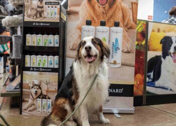 Petco impulsa el segmento premium con marcas especializadas para el bienestar de las mascotas