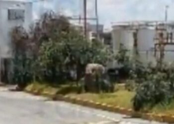 Desmantela FGR 4 centros de combustible ilegal en Hidalgo, Morelos y SLP