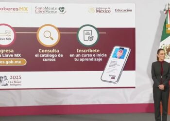 De la UNAM al gobierno: las fallas de una misma empresa vuelven a encender las alarmas