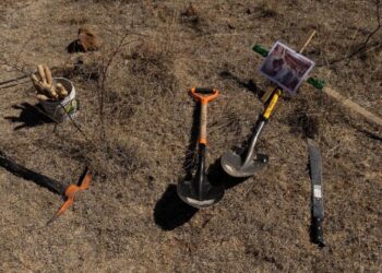 Buscadoras de Sonora encuentran una fosa con restos óseos y más de 50 casquillos percutidos