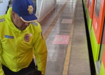 Fallece persona tras presuntamente arrojarse a las vías en la estación Tlaltenco de la Línea 12 del Metro