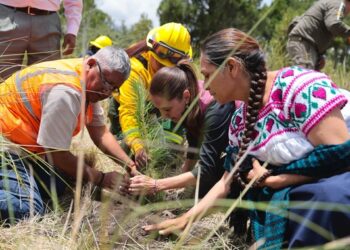 Claudia Sheinbaum encabeza inicio de la Jornada Nacional de Reforestación 2026