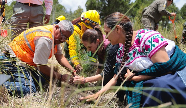 Claudia Sheinbaum encabeza inicio de la Jornada Nacional de Reforestación 2026