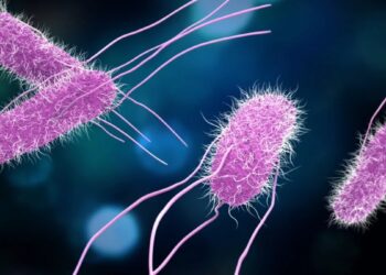 Cuando una infección gastrointestinal no espera: el valor de un diagnóstico oportuno. El arte de disfrutar con estilo y sentido.