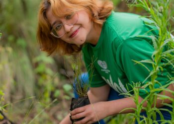 Pinol® y Fundación AlEn suman esfuerzos para restaurar bosques de pino en México