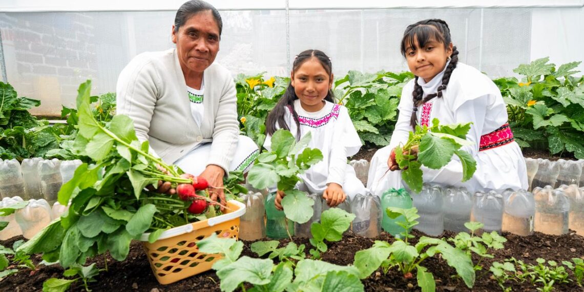 Día Mundial de la Alimentación: Fundación PepsiCo México alimenta el cambio y reafirma que contribuir a la seguridad alimentaria es un compromiso de todos los días