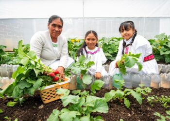Día Mundial de la Alimentación: Fundación PepsiCo México alimenta el cambio y reafirma que contribuir a la seguridad alimentaria es un compromiso de todos los días